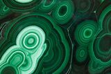 Flowery Polished Malachite Slab - DR Congo #360754-1